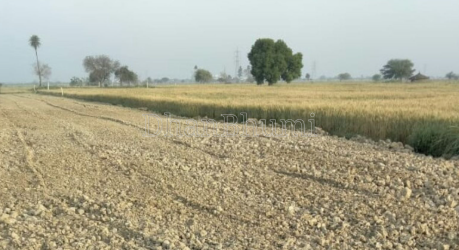 property_images/agricultural_in_vrindavan_1789636552_6aabafc887015.png
