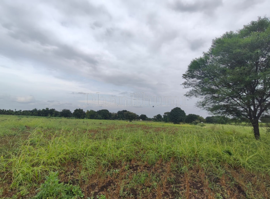 property_images/agricultural_in_wardha_1781501737_6a2f8f299fc55.PNG