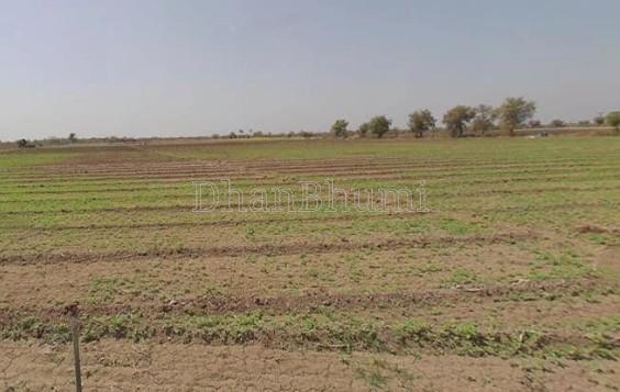 property_images/agricultural_in_wardha_1782207767_6a3a5517d6de7.jpg