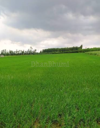 property_images/agricultural_in_wardha_1784874901_6a630795ac172.PNG