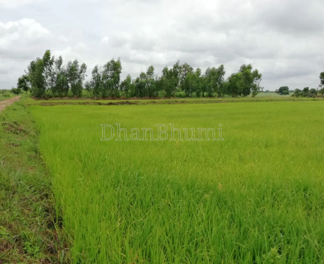 property_images/agricultural_in_wardha_1784875896_6a630b780bfed.PNG
