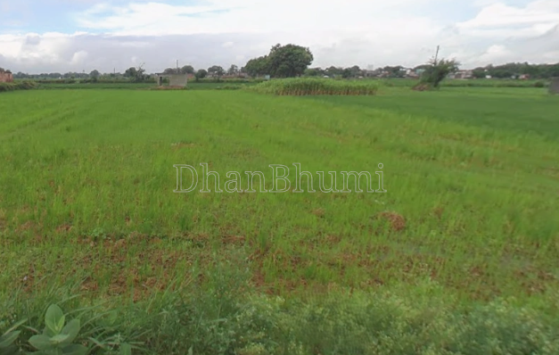 property_images/agricultural_in_wardha_1784876371_6a630d5332698.PNG