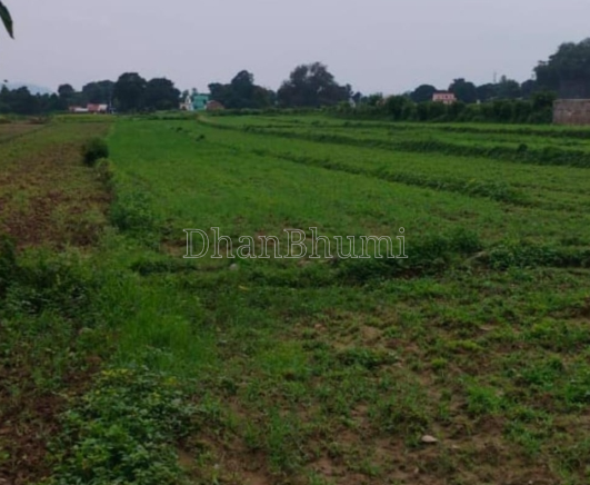 property_images/agricultural_in_wardha_1784876657_6a630e7122357.PNG