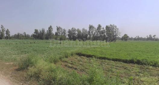 property_images/agricultural_in_yamunanagar_1781250533_6a2bb9e54f09c.jpg