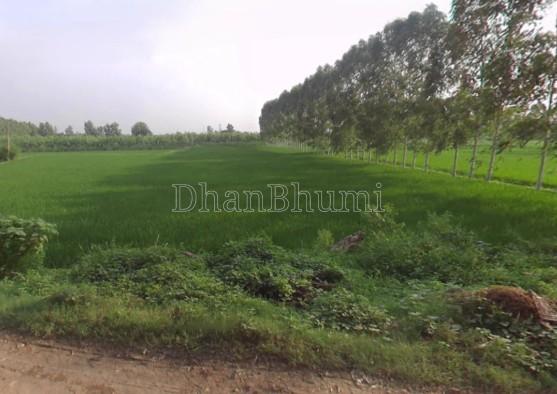 property_images/agricultural_in_yamunanagar_1781250533_6a2bb9e5529cd.jpg