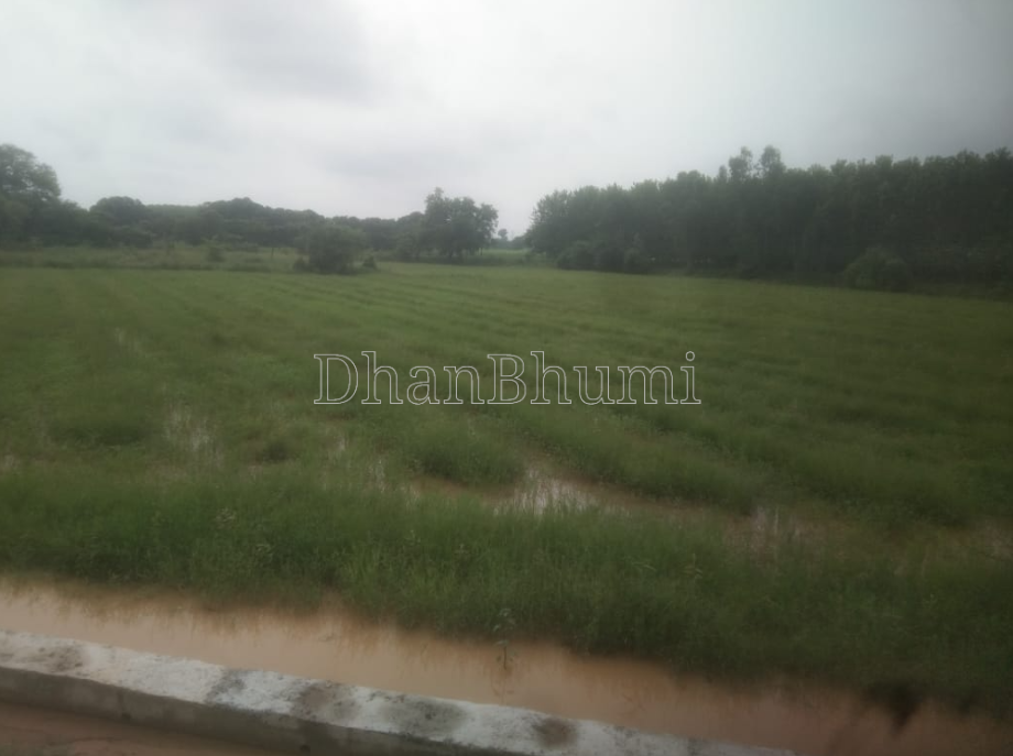property_images/agricultural_in_yamunanagar_1787738429_6a8eb93d4efea.png