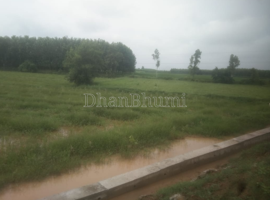 property_images/agricultural_in_yamunanagar_1787738429_6a8eb93dbefa2.png