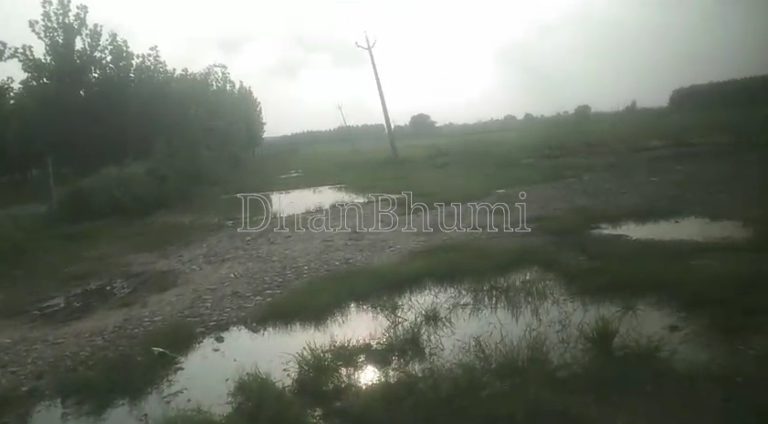 property_images/agricultural_in_yamunanagar_1787738937_6a8ebb3947ed4.png