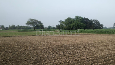 property_images/commercial_buildingsco_in_chandrapur_1784541384_6a5df0c8cb931.png