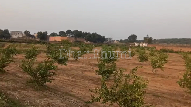 property_images/commercial_in_ahmedabad_1791982778_6acf7cba3be5a.PNG
