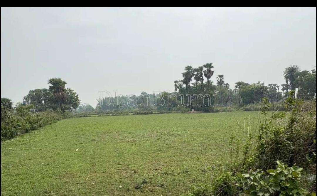 property_images/commercial_in_angul_1788438335_6a99673fae97d.jpg