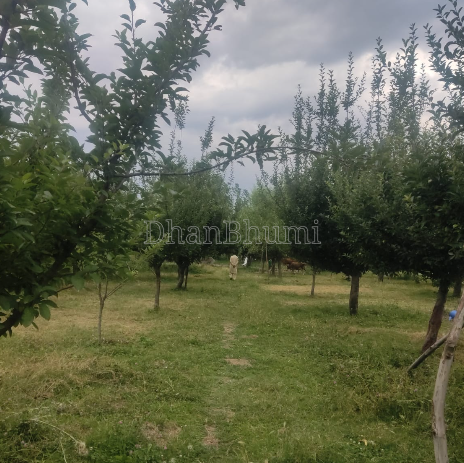 property_images/commercial_in_baramulla_1781767961_6a339f1907fd1.png