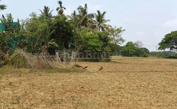 property_images/commercial_in_dhenkanal_1784790128_6a61bc7046a4e.PNG