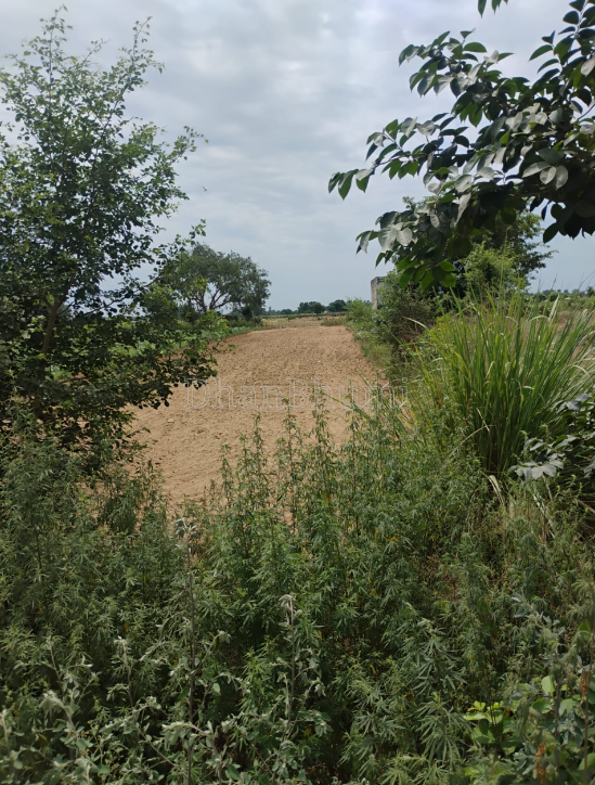 property_images/commercial_in_greater_noida_1790167461_6ab3c9a5745a7.png