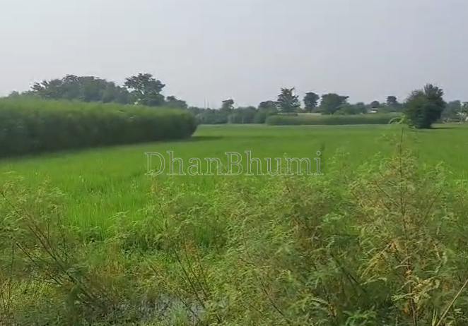 property_images/commercial_in_khagaria_1789023691_6aa255cba1baf.png