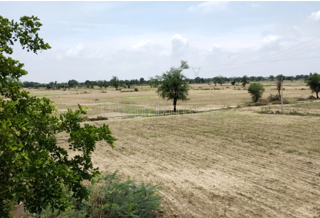 property_images/commercial_in_patiala_1784273093_6a59d8c5de2e0.PNG
