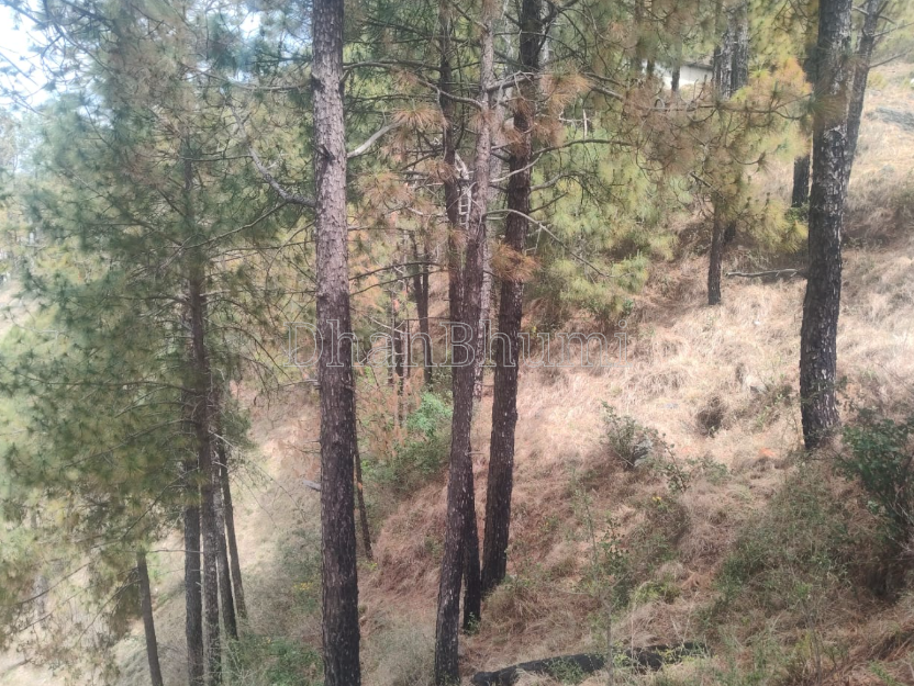 property_images/commercial_in_shimla_1783938825_6a54bf0996480.PNG