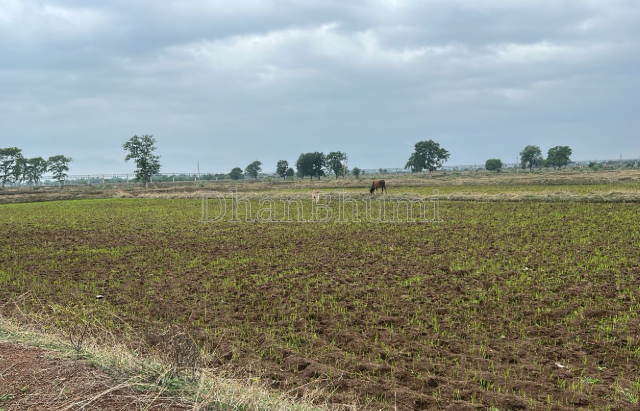 property_images/commercial_in_shivpuri_1790599376_6aba60d02a15b.PNG
