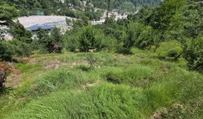 property_images/commercial_in_sirmaur_1784194431_6a58a57fb1d63.PNG