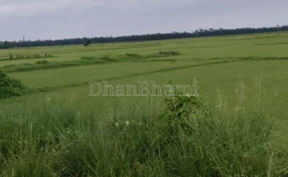 property_images/industrial_in_hooghly_1783493010_6a4df192021e9.jpg
