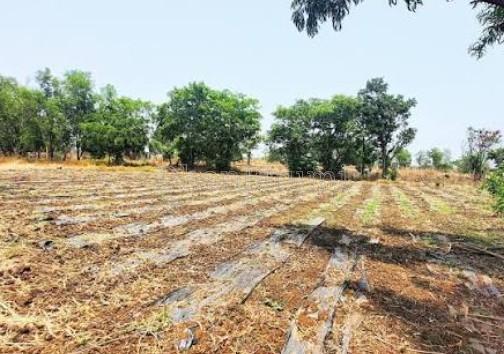 property_images/industrial_in_valsad_1783419285_6a4cd195b8f41.jpg