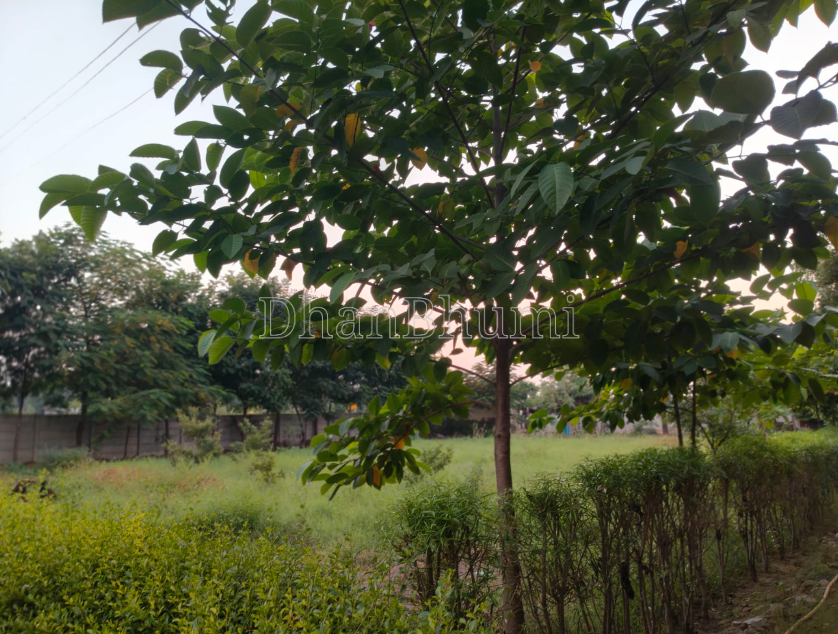 property_images/plot_in_ahmedabad_1792411712_6ad60840edd3d.PNG