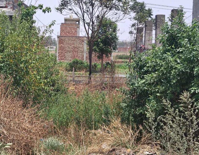 property_images/plot_in_amritsar_1784530743_6a5dc73751b86.jpg