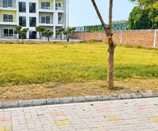 property_images/plot_in_amritsar_1789026278_6aa25fe65a150.png