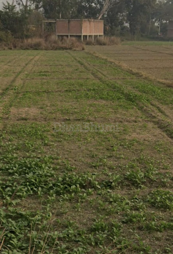 property_images/plot_in_barabanki_1789623060_6aab7b140e3c6.png