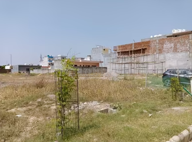 property_images/plot_in_bathinda_1778741341_6a05705d6dd40.PNG