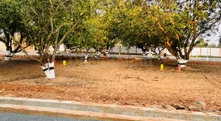 property_images/plot_in_beawar_1784980816_6a64a55002803.png