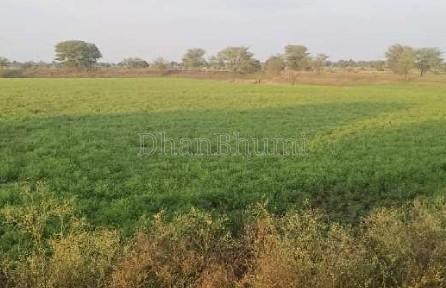 property_images/plot_in_bhopal_1782469846_6a3e54d6e400e.jpg