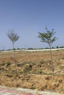 property_images/plot_in_bhopal_1791809897_6accd96928052.PNG