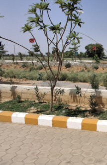 property_images/plot_in_bhopal_1791810116_6accda44e8c50.PNG