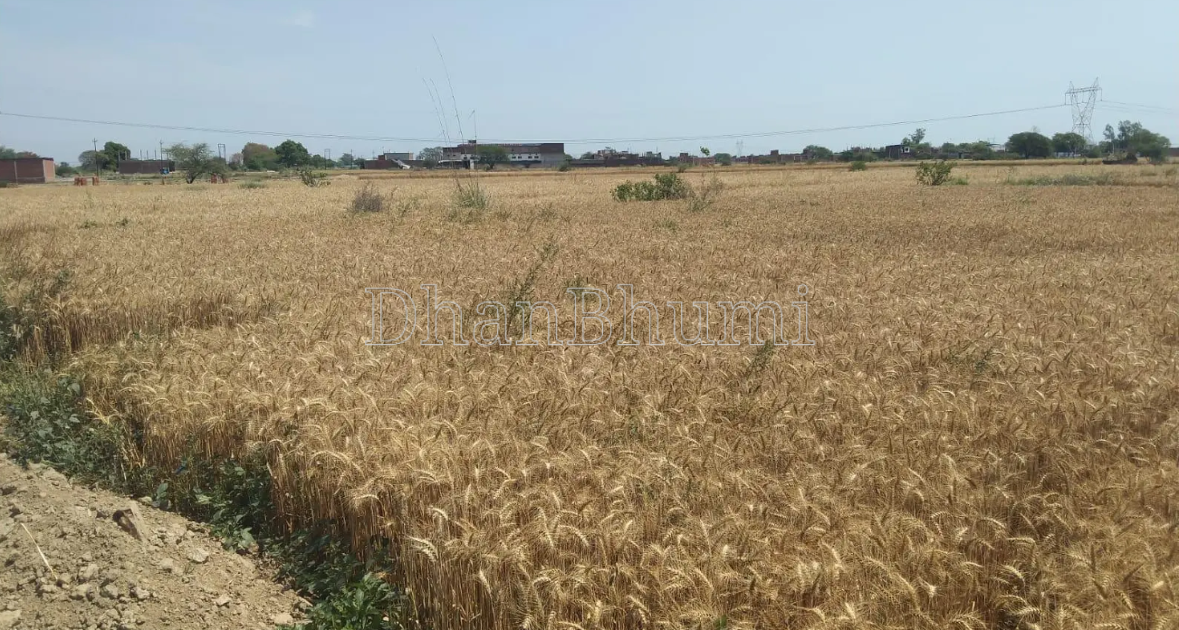 property_images/plot_in_bhubaneswar_1785759651_6a7087a3073a8.png