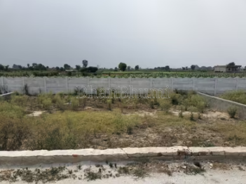property_images/plot_in_bilaspur_1783947704_6a54e1b812299.png