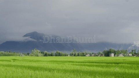 property_images/plot_in_budgam_1783579357_6a4f42dda71c2.jpg