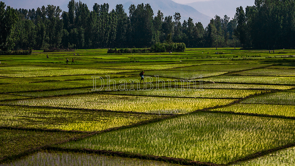 property_images/plot_in_budgam_1783579357_6a4f42ddb5a93.png