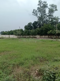property_images/plot_in_cuttack_1791880142_6acdebce2aa69.PNG