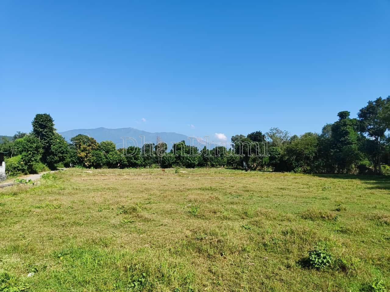 property_images/plot_in_dehradun_1781766806_6a339a9621be8.jpeg