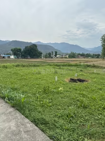 property_images/plot_in_dehradun_1781860659_6a350933bda2c.PNG