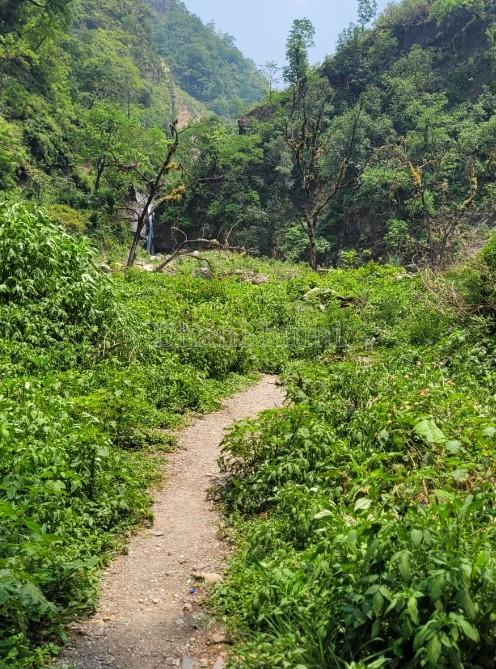 property_images/plot_in_dehradun_1784284979_6a5a073351a83.jpg