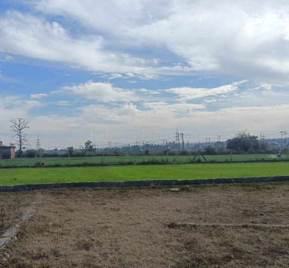 property_images/plot_in_dehradun_1789121740_6aa3d4cc84a9e.png