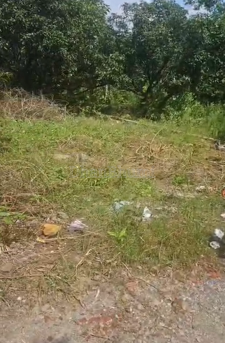 property_images/plot_in_dehradun_1789623601_6aab7d3134c28.png