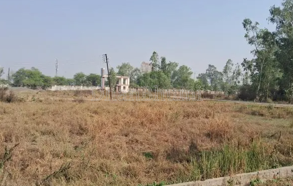 property_images/plot_in_dewas_1783774480_6a523d10d2063.PNG