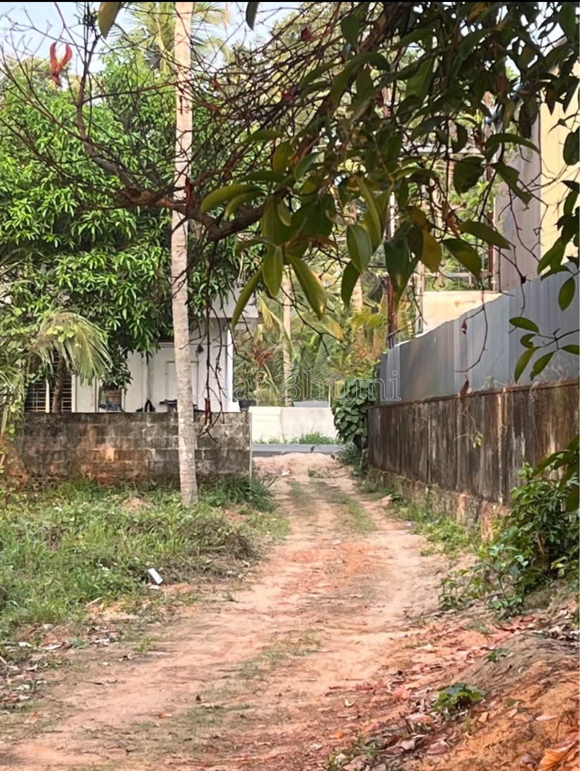 property_images/plot_in_ernakulam_1783761115_6a5208dbdd400.jpeg