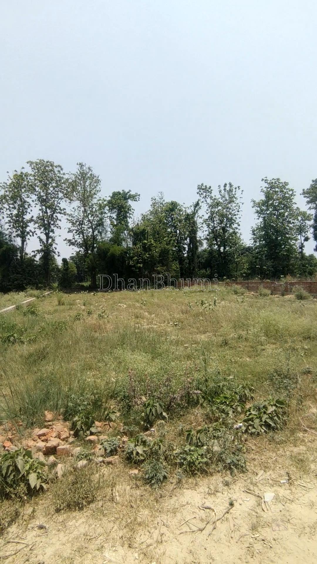 property_images/plot_in_faizabad_1786540542_6a7c71feb2bf4.jpg