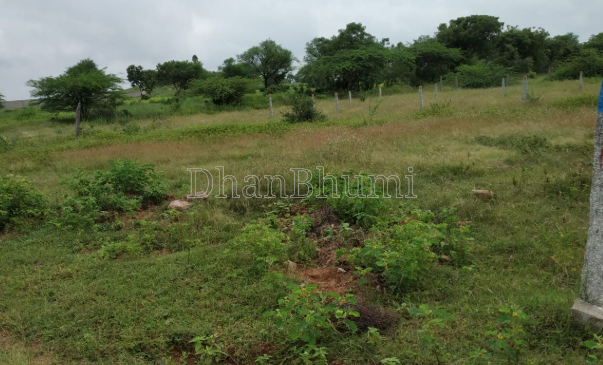 property_images/plot_in_gautam_buddha_nagar_1787815957_6a8fe8155e196.png