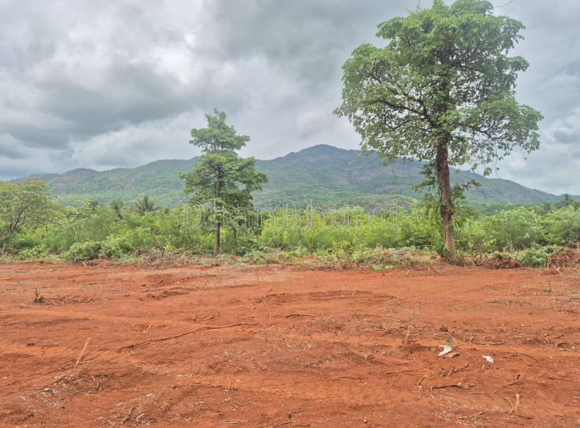 property_images/plot_in_goa_1783414286_6a4cbe0eb7726.PNG