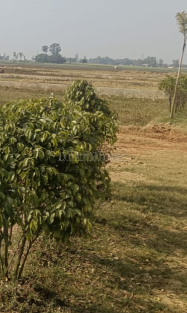 property_images/plot_in_gorakhpur_1782132754_6a3930124c243.PNG